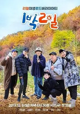 向往的生活 综艺 2023 综艺