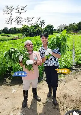 乘风2024 综艺 2024 综艺